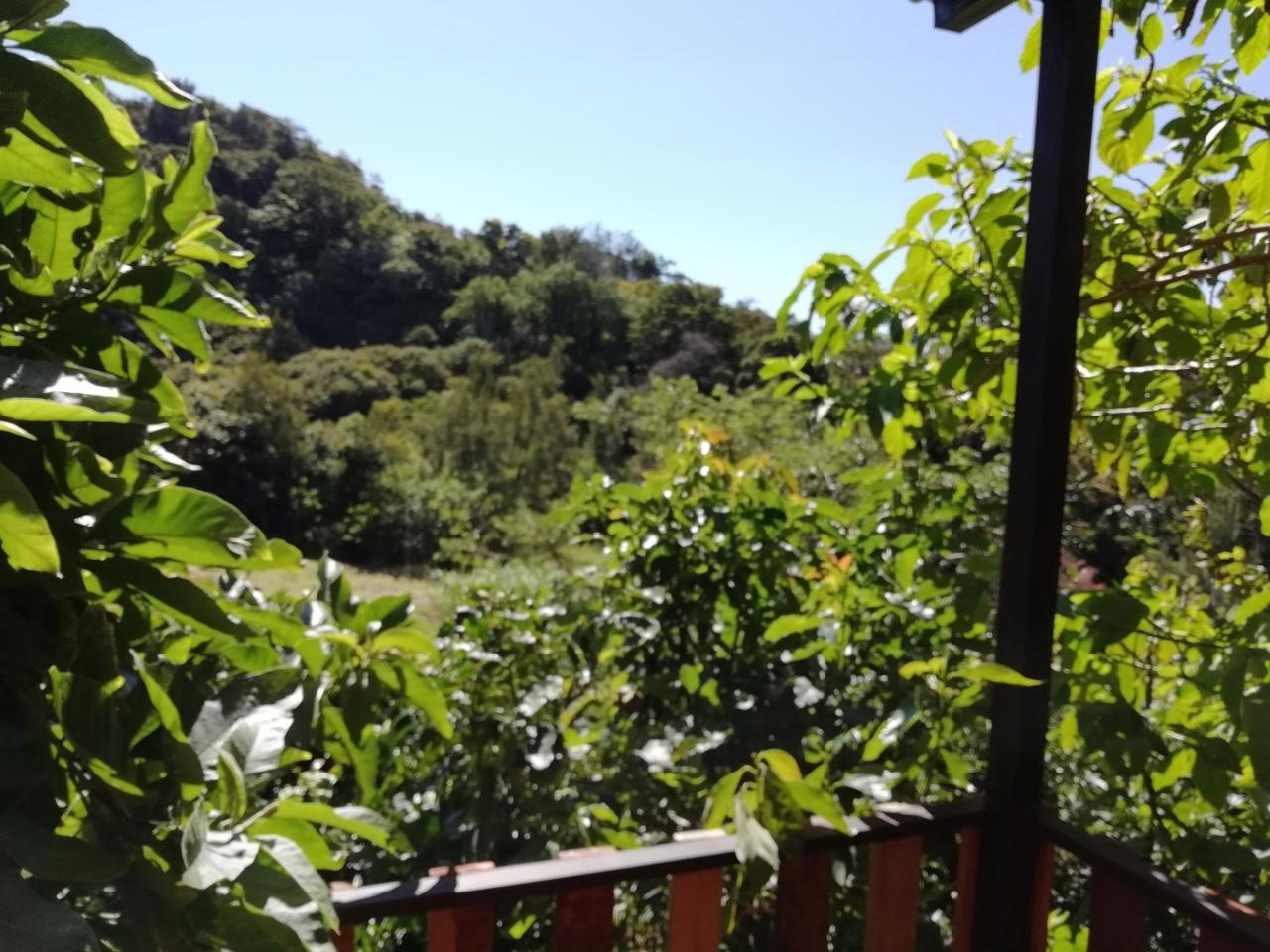 La Guayaba モンテベルデ エクステリア 写真